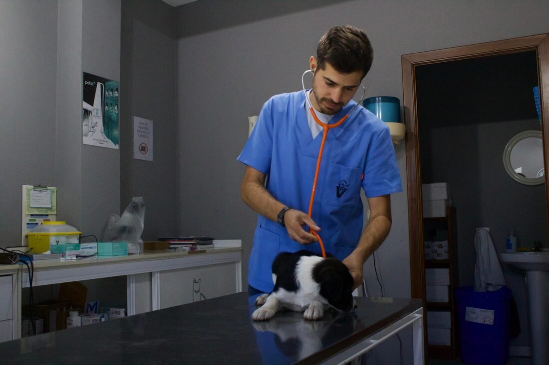 Seguimiento de enfermedades